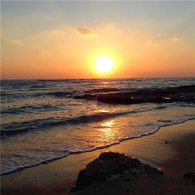 极速赛车8码预测网页下载