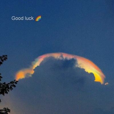 500购彩登录大厅截图